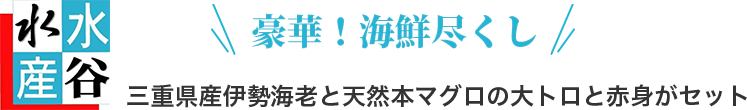 豪華！三重県産伊勢海老と天然本マグロの大トロと赤身がセット